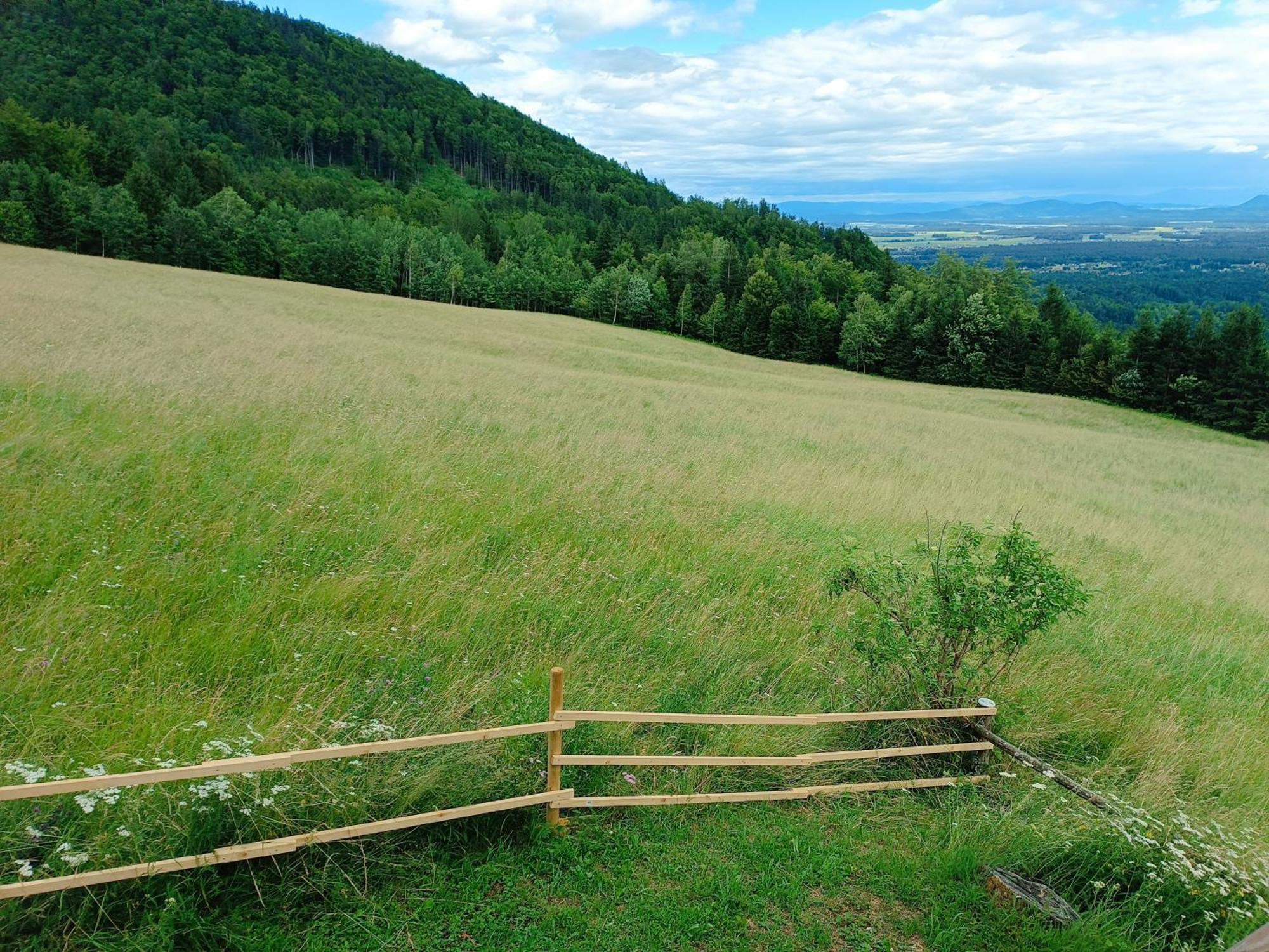 Kralj Matjaz - The Green Escape Under Alps Golnik Dış mekan fotoğraf
