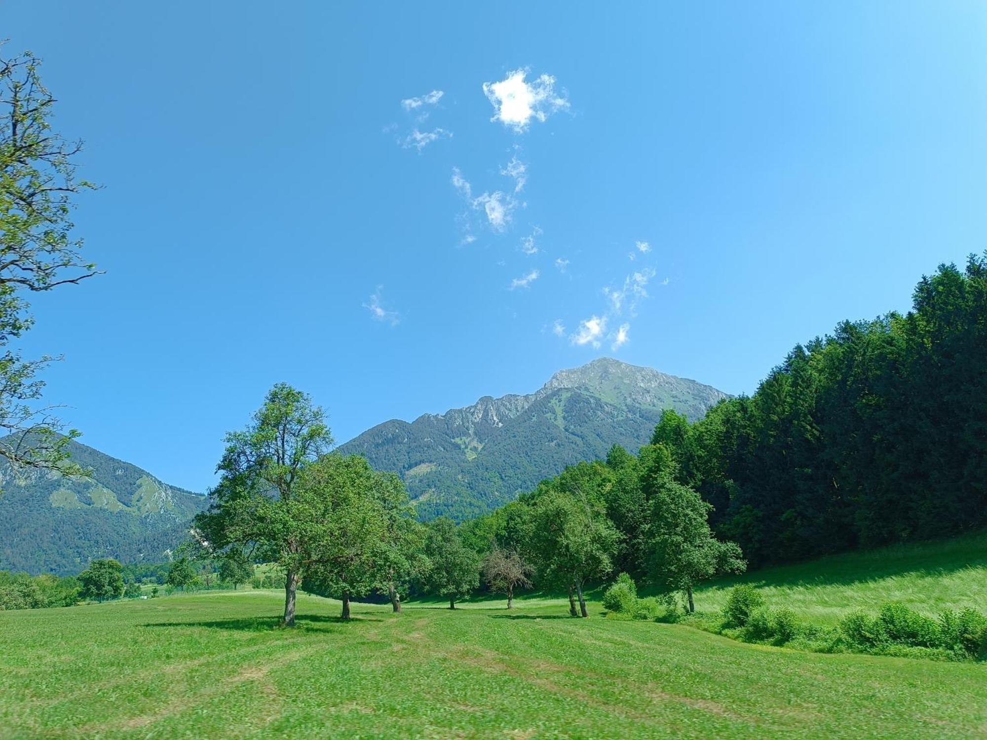 Kralj Matjaz - The Green Escape Under Alps Golnik Dış mekan fotoğraf